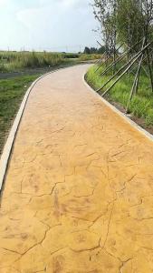 吉林省船營(yíng)區(qū)大紅土村壓模壓花地坪工程